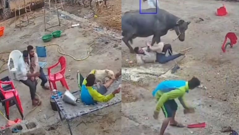 VIDEO: किसी की गर्दन दबोची, किसी का पैरा काटा, इंदौर में खूंखार कुत्ते का खतरनाक हमला