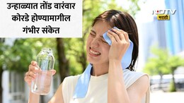 Summer Health Tips: उन्हाळ्यात सतत तोंड कोरडं पडतंय? शरीराचा हा 'वॉर्निंग सिग्नल' वेळीच ओळखा, अन्यथा...