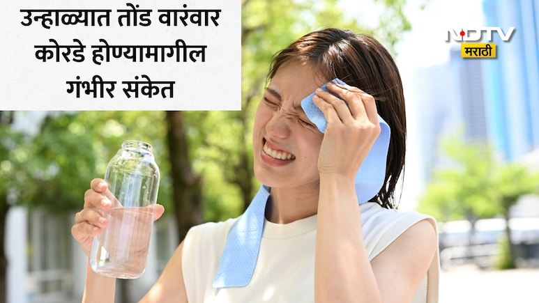 Summer Health Tips: उन्हाळ्यात सतत तोंड कोरडं पडतंय? शरीराचा हा 'वॉर्निंग सिग्नल' वेळीच ओळखा, अन्यथा...