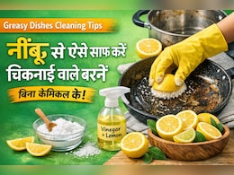 चिकनाई वाले बर्तन कैसे साफ करें? नींबू के छ&zwj;िलके से लगाएं जुगत, इन चार ट्र&zwj;िक्&zwj;स से झटपट हटेगी जिद्दी चिकनाई