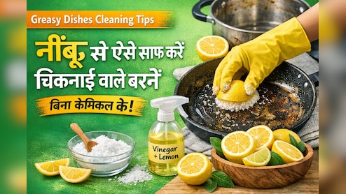 चिकनाई वाले बर्तन कैसे साफ करें? नींबू के छ&zwj;िलके से लगाएं जुगत, इन चार ट्र&zwj;िक्&zwj;स से झटपट हटेगी जिद्दी चिकनाई