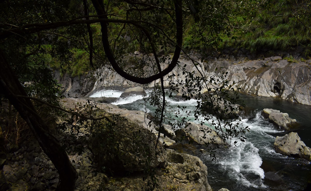 Latest and Breaking News on NDTV