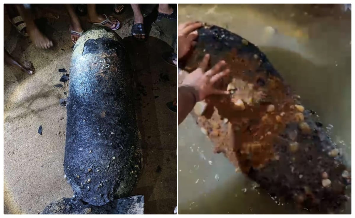 Latest and Breaking News on NDTV Latest and Breaking News on NDTV