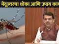 CM Devendra Fadnavis: जपानी मेंदूज्वराविरोधात महाराष्ट्र सतर्क; राज्यातील सद्यस्थिती काय? A To Z माहिती वाचा