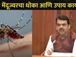 CM Devendra Fadnavis: जपानी मेंदूज्वराविरोधात महाराष्ट्र सतर्क; राज्यातील सद्यस्थिती काय? A To Z माहिती वाचा