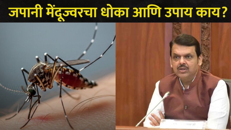 CM Devendra Fadnavis: जपानी मेंदूज्वराविरोधात महाराष्ट्र सतर्क; राज्यातील सद्यस्थिती काय? A To Z माहिती वाचा
