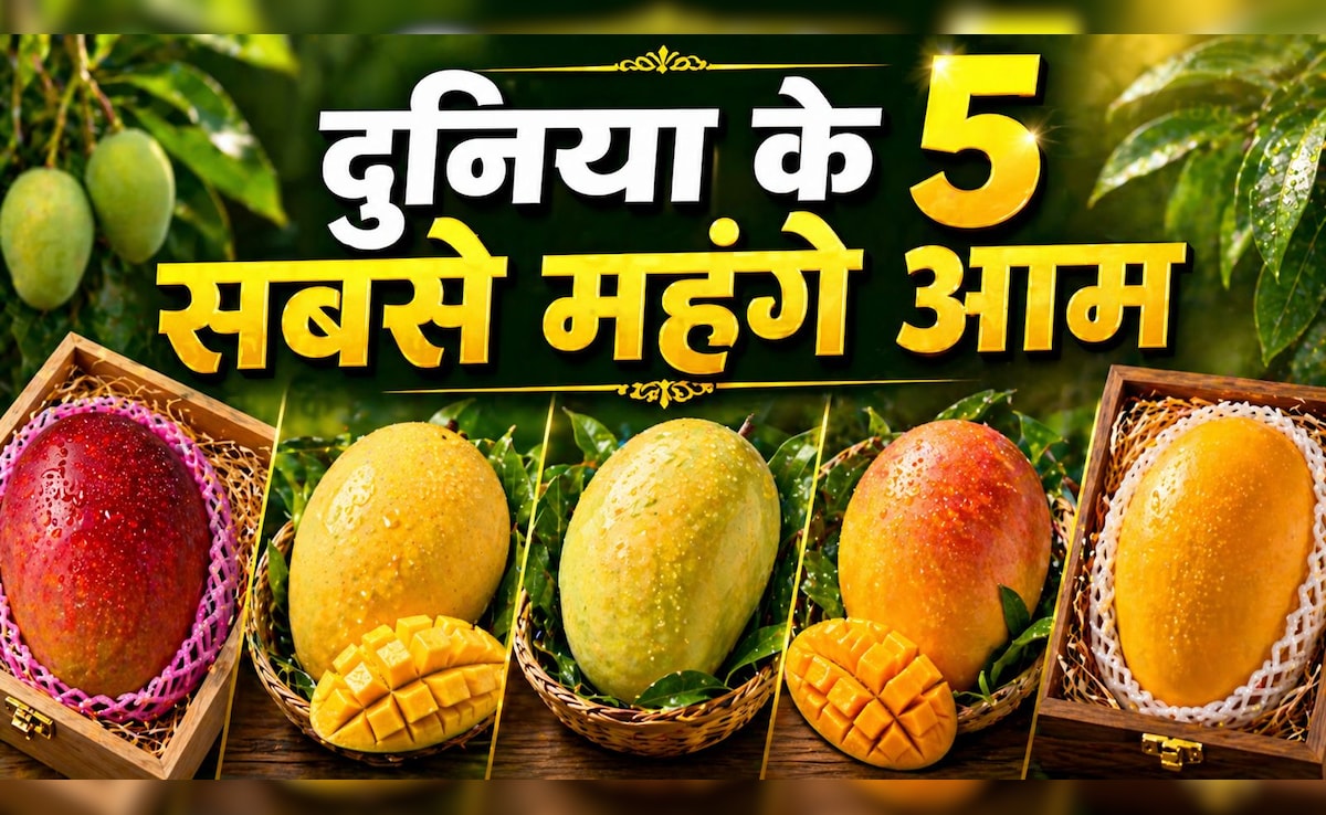 3000 का एक आम, दुनिया के 5 सबसे महंगे आम, जिनकी कीमत सुनकर रह जाएंगे हैरान, स्वाद ऐसा कि भूल जाएंगे हर फल