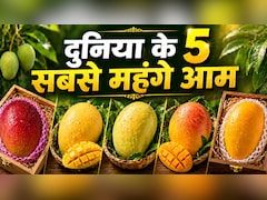 3000 का एक आम, दुनिया के 5 सबसे महंगे आम, जिनकी कीमत सुनकर रह जाएंगे हैरान, स्वाद ऐसा कि भूल जाएंगे हर फल