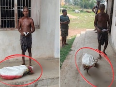 बैंक में कंकाल लाने का मामला: जांच में बैंक स्टाफ निकला जिम्मेदार, RDC बोले- जीतू मुंडा को 4 बार बैंक से भगाया