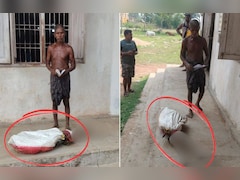 कब्र से बहन का कंकाल निकालकर बैंक पहुंचा भाई! ₹19,300 के लिए मौत का सबूत मांग रहे थे अधिकारी