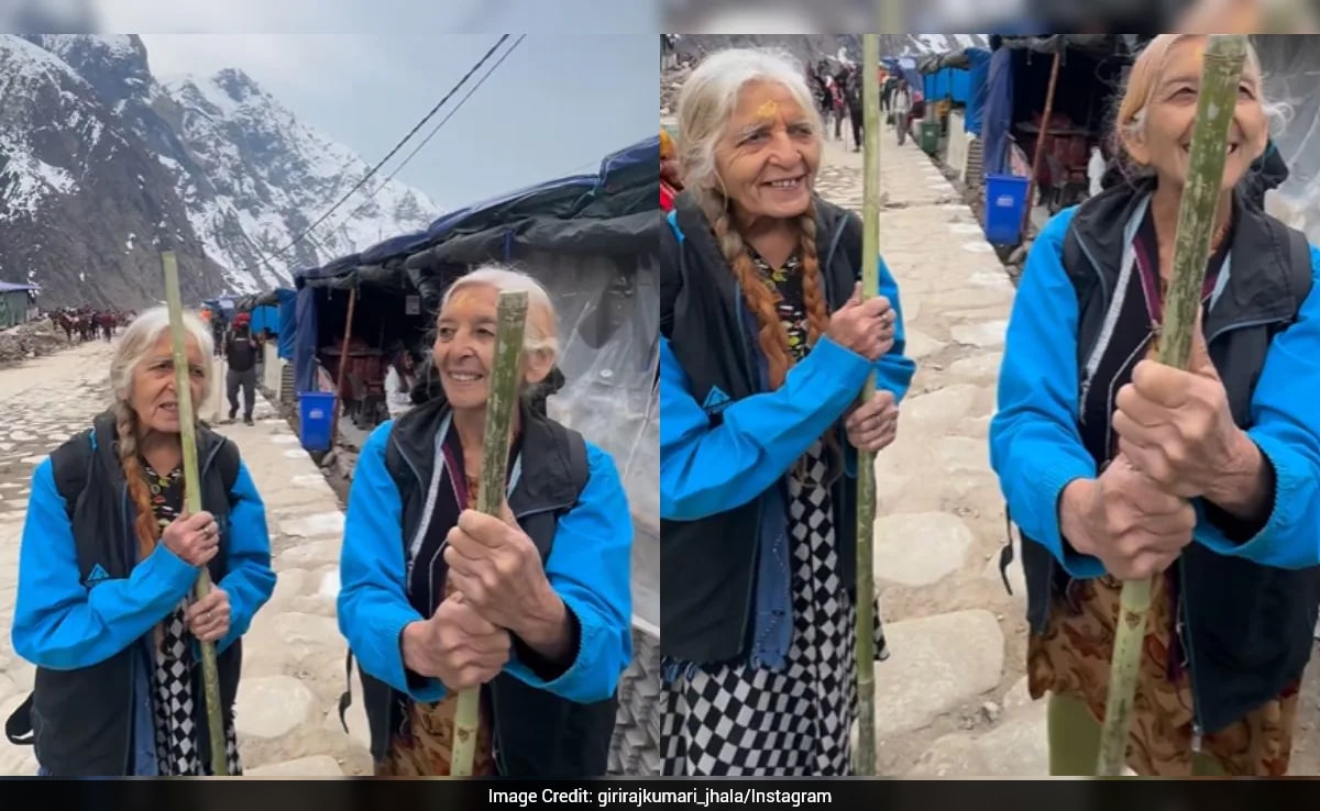 The Art of Baking: From Classic Bread to Artisan Pastries