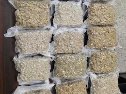 Weed Worth Rs 4.6 Crore Seized By Customs At Hyderabad Airport