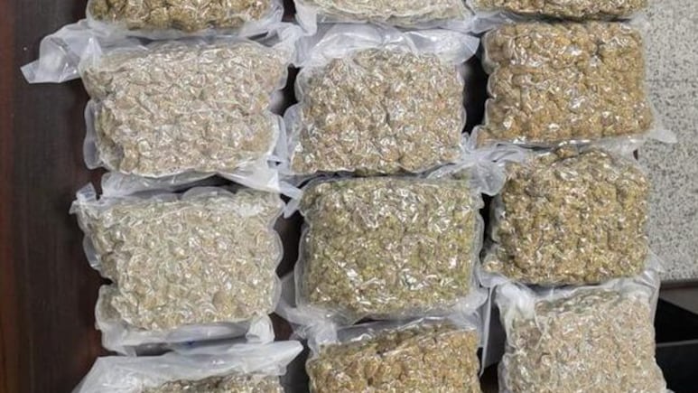 Weed Worth Rs 4.6 Crore Seized By Customs At Hyderabad Airport