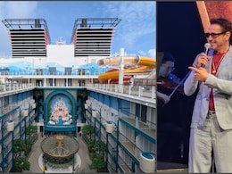 Robert Downey Jr, Shah Rukh Khan, A T20 Final: Surviving A Disney Cruise As A Single Adult