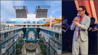 Robert Downey Jr, SRK, T20 Final: Surviving A Disney Cruise As A Solo Adult