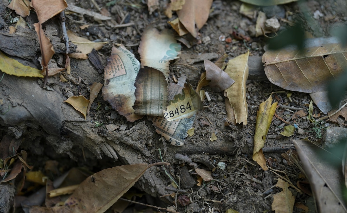 Latest and Breaking News on NDTV Latest and Breaking News on NDTV