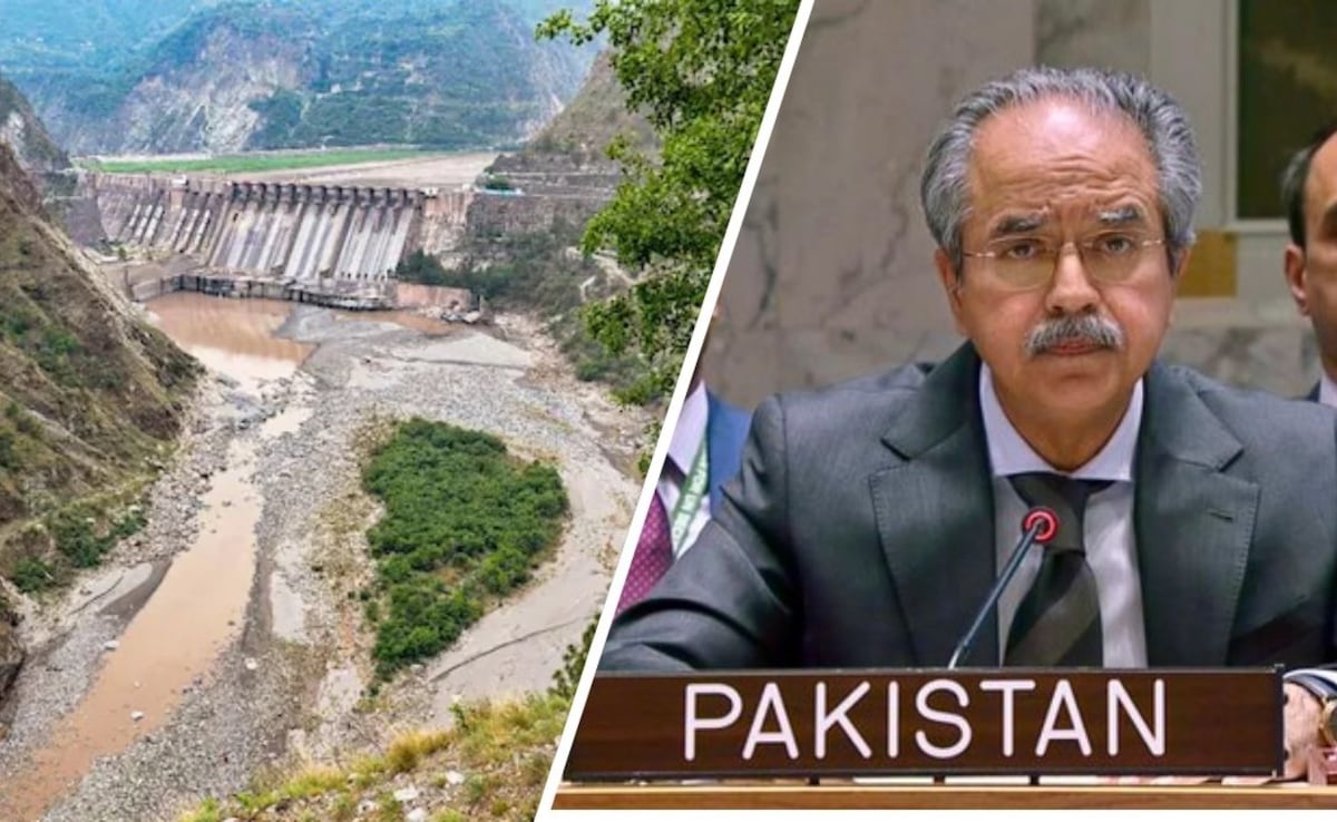 सिंधु के पानी के लिए तड़प रहा पाकिस्तान! UNSC में गिड़गिड़ाया, भारत से संधि बहाल करने की मांग