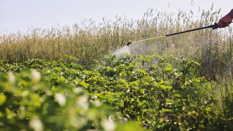 Odisha Govt Cancels Licenses Of 96 Fertiliser Dealers, Suspends 170 For Unfair Practices