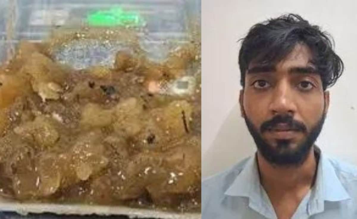 Mumbai: 1 करोड़ का 'तैरता सोना' बेचने के फिराक में था तस्कर, 1.15 KG  एम्बरग्रीस बरामद, आरोपी भी गिरफ्तार