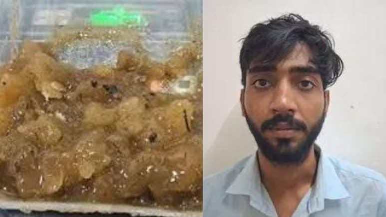 Mumbai: 1 करोड़ का 'तैरता सोना' बेचने के फिराक में था तस्कर, 1.15 KG  एम्बरग्रीस बरामद, आरोपी भी गिरफ्तार