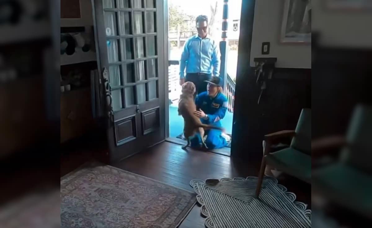 मून मिशन से लौटी मालकिन तो 'बावरा' हो गया डॉगी, क्रिस्टीना कोच का घर वापसी वाला वीडियो देख रो पड़ेंगे आप!