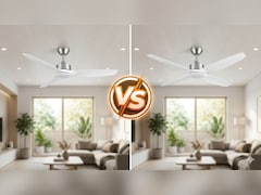 Ceiling Fan Tips: 3 या 4 ब्लेड आपके कमरे के लिए कौन सा सीलिंग फैन है सबसे बेस्ट? जान लें दोनों के फायदे