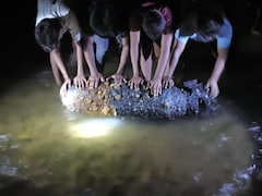 झारखंड: मछली पकड़ने गए ग्रामीणों के उड़े होश… पानी के अंदर दिखा द्वितीय विश्व युद्ध का विशाल बम, मचा हड़कंप