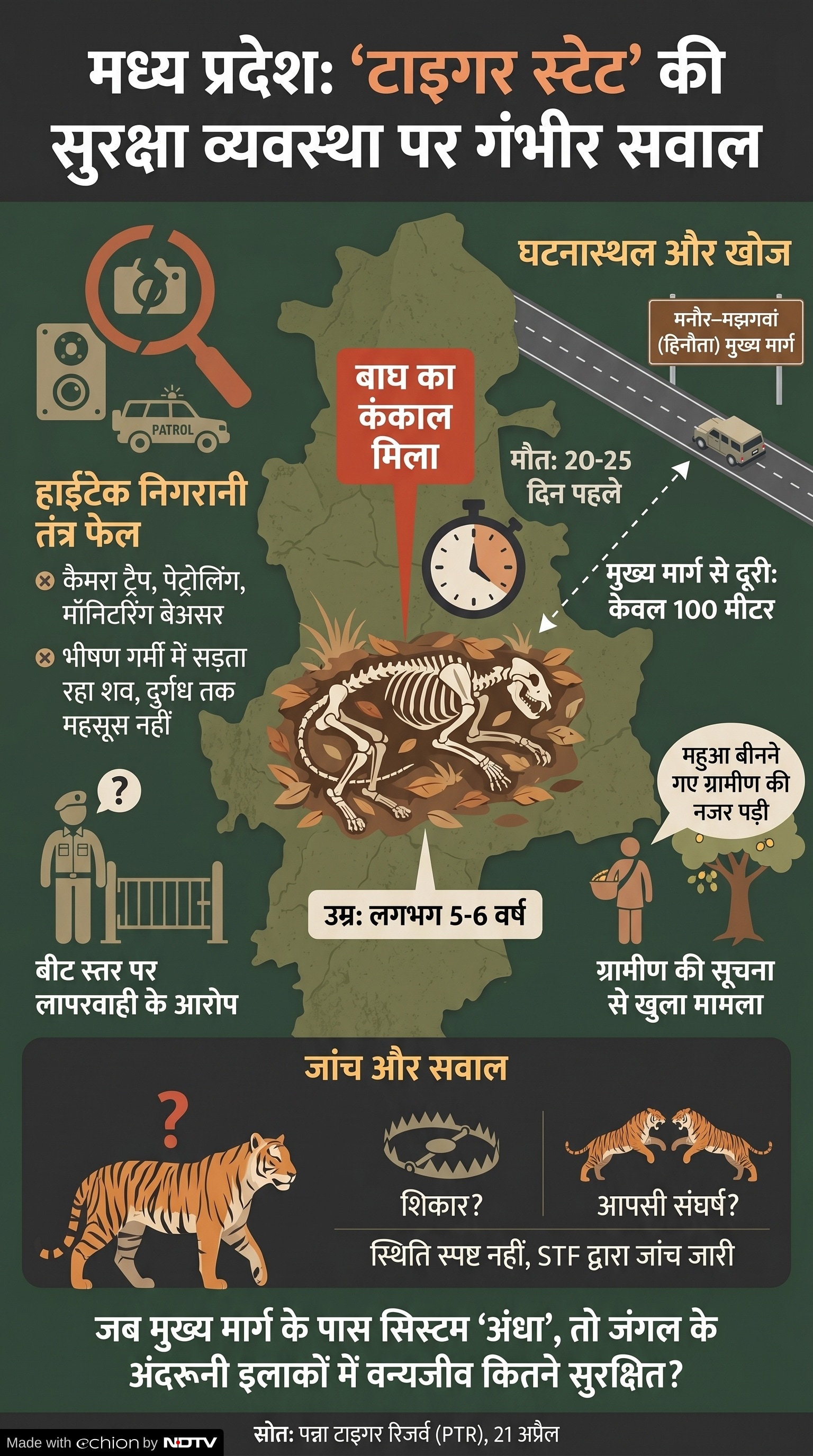 Tiger Death in Panna: पन्ना टाइगर रिजर्व में बाघ का कंकाल मिला