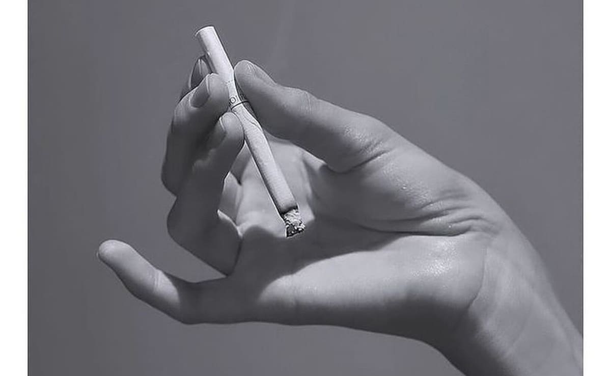 Image: Insta@happyp1ant