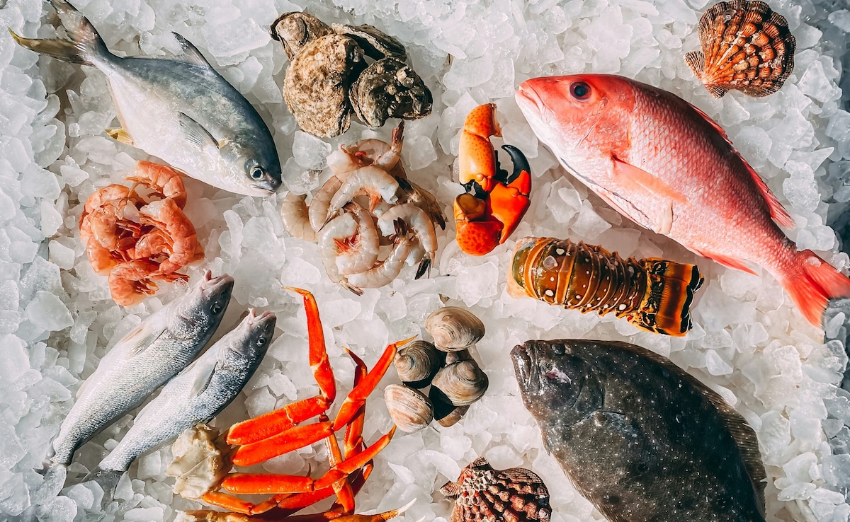 दुनिया को लगा भारतीय झींगा मछलियों का 'चस्का'!  सीफूड एक्सपोर्ट ₹72,000 करोड़ के पार, बना ऑल टाइम रिकॉर्ड