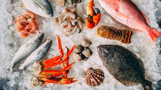 दुनिया को लगा भारतीय झींगा मछलियों का 'चस्का'!  सीफूड एक्सपोर्ट ₹72,000 करोड़ के पार, बना ऑल टाइम रिकॉर्ड