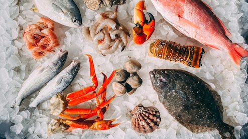 दुनिया को लगा भारतीय झींगा मछलियों का 'चस्का'!  सीफूड एक्सपोर्ट ₹72,000 करोड़ के पार, बना ऑल टाइम रिकॉर्ड