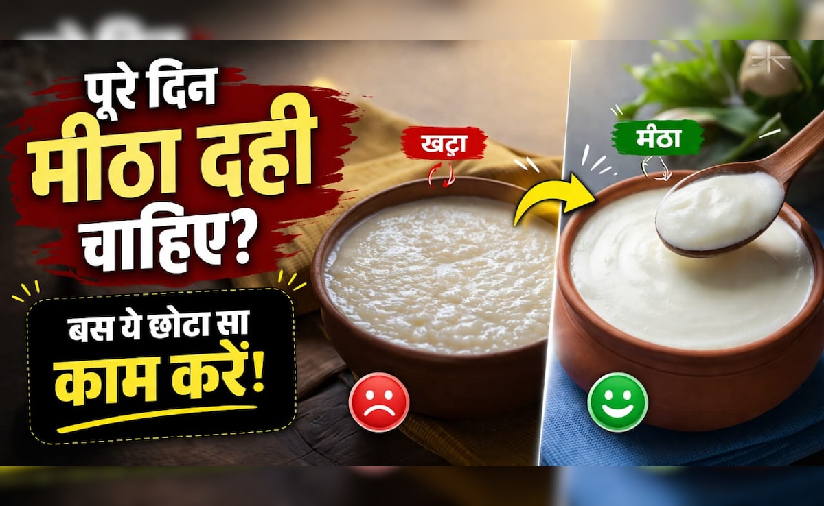 दही जल्दी खट्टा हो जाता है? अपनाएं ये 1 तरीका, पूरे दिन रहेगा फ्रेश