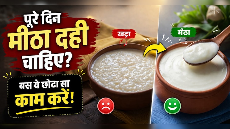 दही जल्दी खट्टा हो जाता है? अपनाएं ये 1 तरीका, पूरे दिन रहेगा फ्रेश