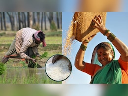 अब पूरी दुनिया खाएगी भारत का चावल, चीन को पछाड़कर हम बने 'राइस किंग', किसानों की बल्ले-बल्ले