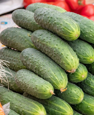 Benefits Of Eating Cucumber In Summer