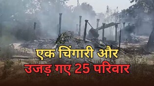 Bihar: चूल्हे की चिंगारी ने उजाड़ी 25 परिवारों के घर, जिंदा जल गए पशु