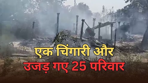 Bihar: चूल्हे की चिंगारी ने उजाड़ी 25 परिवारों के घर, जिंदा जल गए पशु