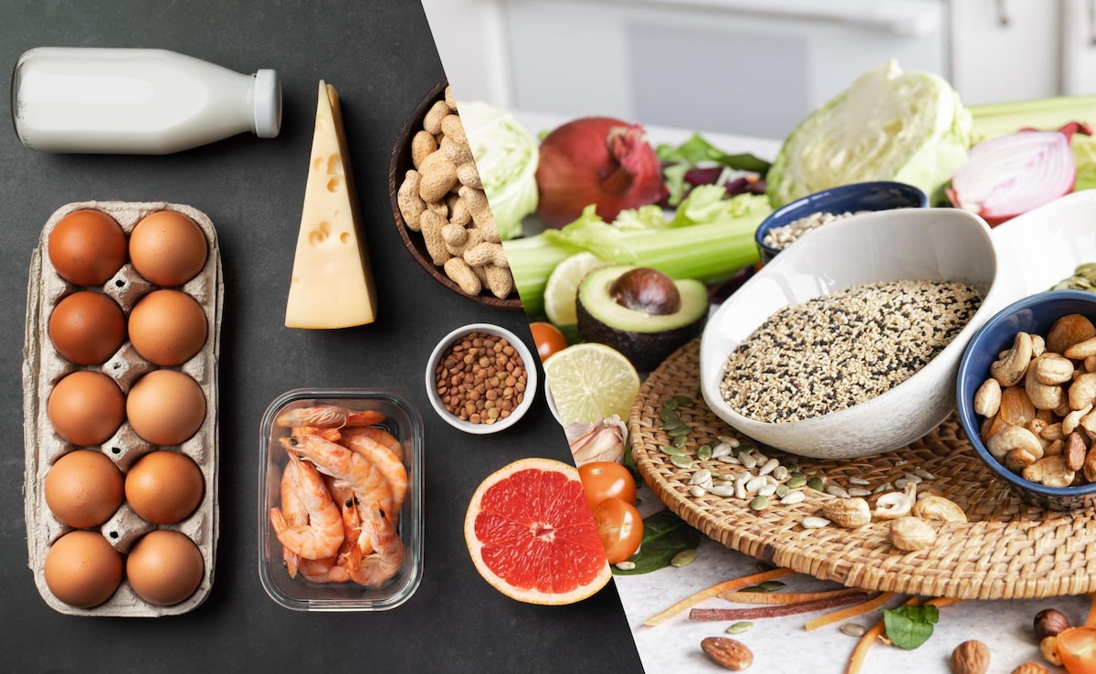 Animal and protein dietary sources Animal and protein dietary sources