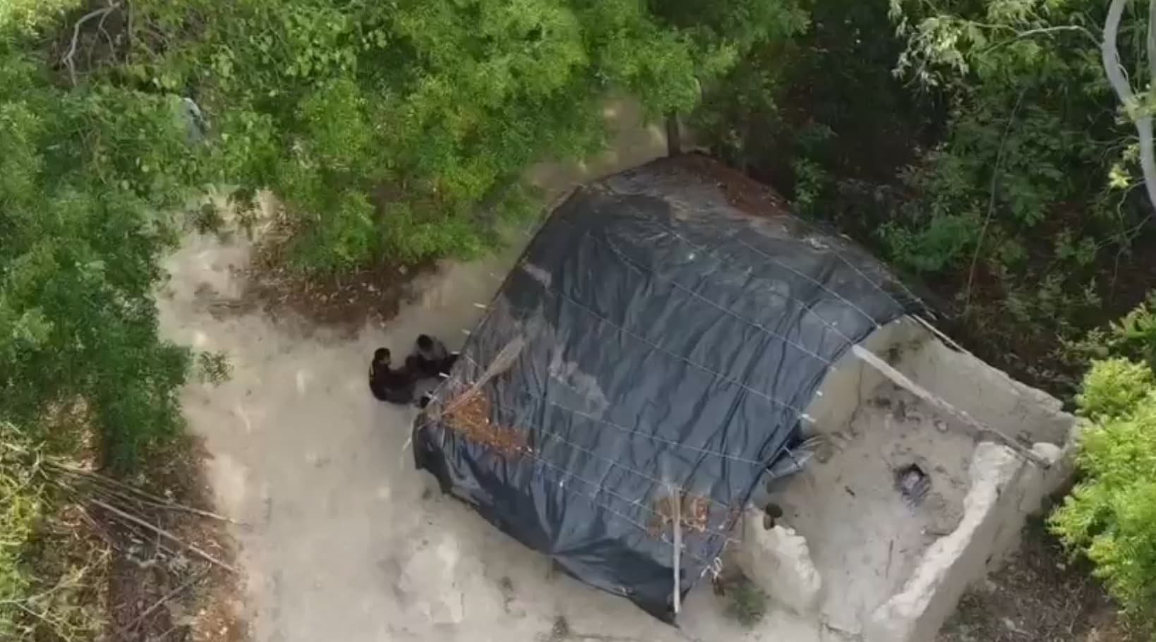 Latest and Breaking News on NDTV Latest and Breaking News on NDTV