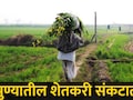 Pune News : पुणे जिल्ह्यातील शेतकऱ्यांची चिंता वाढवणारी बातमी, 'या' पिकांचं होणार मोठं नुकसान, कारण काय?