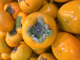 साल में सिर्फ 3 महीने मिलता है ये जंगली फल, शरीर को देता है जबरदस्त एनर्जी, पत्ते-छाल भी फायदेमंद