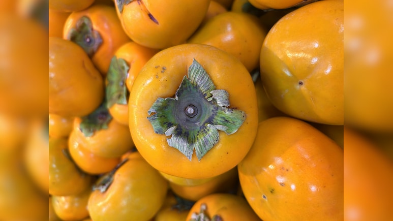 साल में सिर्फ 3 महीने मिलता है ये जंगली फल, शरीर को देता है जबरदस्त एनर्जी, पत्ते-छाल भी फायदेमंद