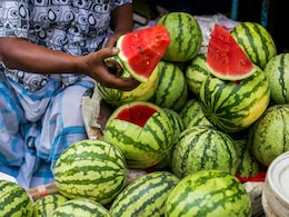 संभलकर! कहीं आप भी तो नहीं खा रहे 'जहरीला' तरबूज? झाग देखते ही रह जाएंगे दंग