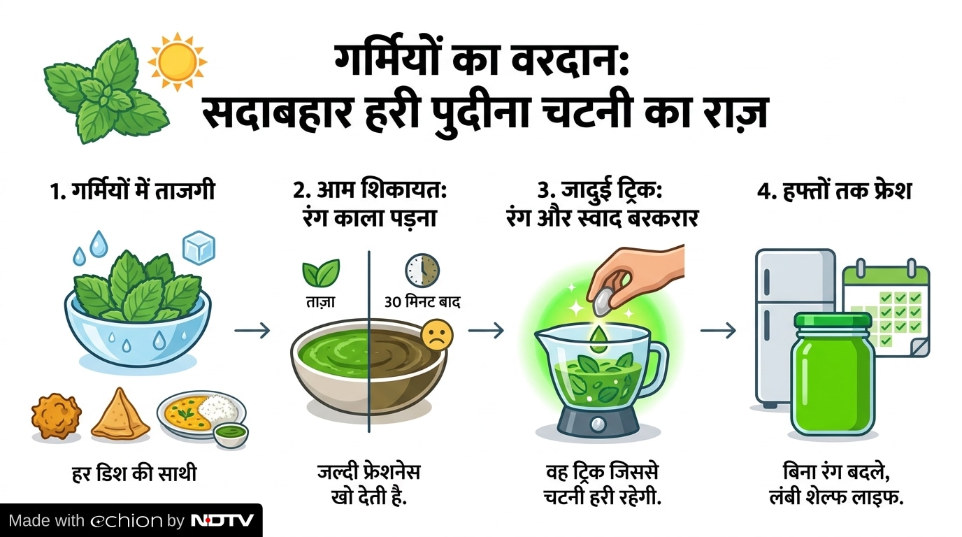 Latest and Breaking News on NDTV