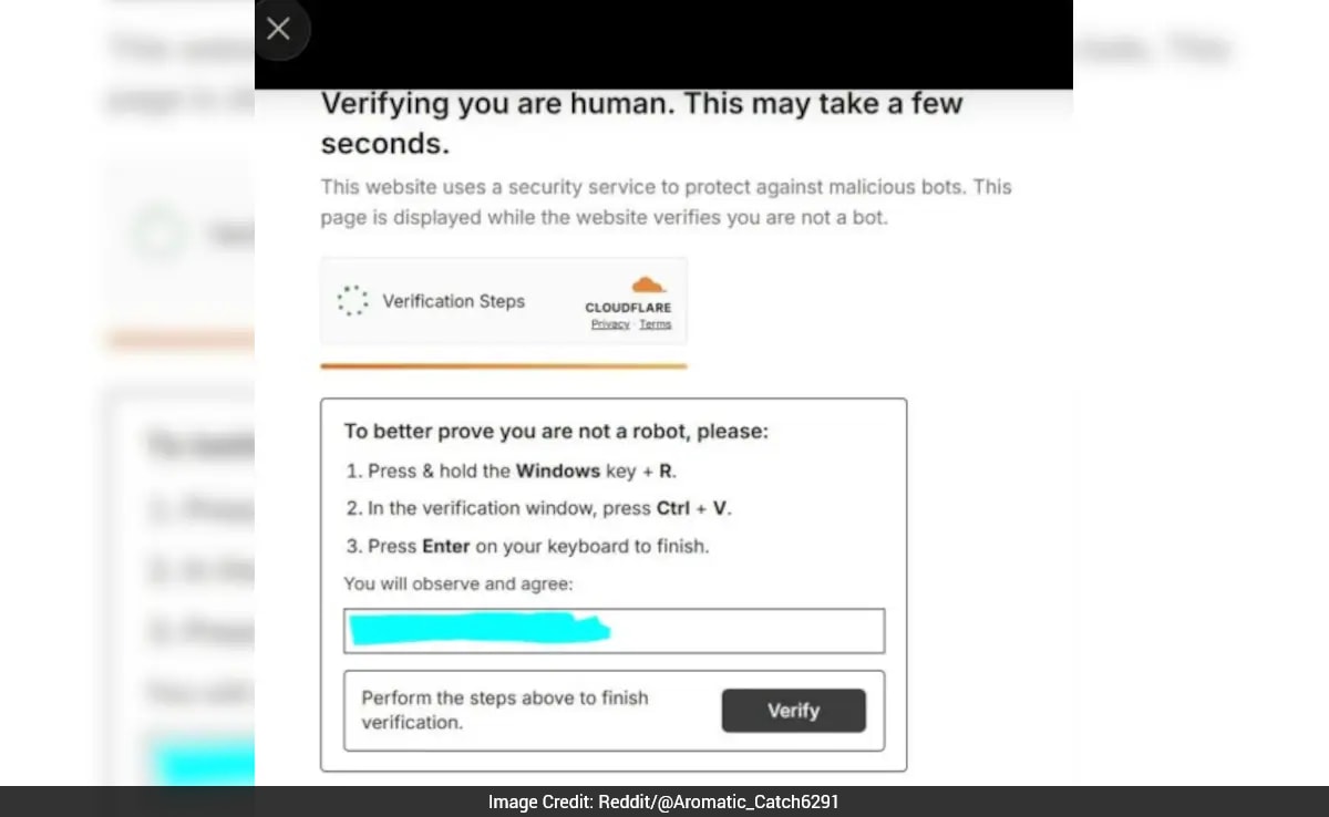 The Art of Baking: From Classic Bread to Artisan Pastries