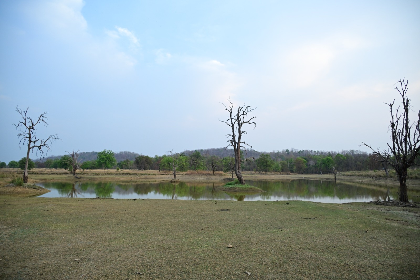 Chhattisgarh Barnawapara Sanctuary Ensures Water Availability Every 5 Sq Km Amid Heatwave