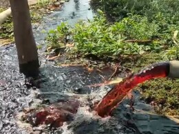 एमपी के ट्यूबवेल से निकल रहा है लाल पानी, फसलें हुई खराब: ग्रामीणों में डर का माहौल