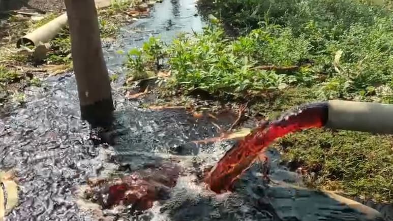 एमपी के ट्यूबवेल से निकल रहा है लाल पानी, फसलें हुई खराब: ग्रामीणों में डर का माहौल