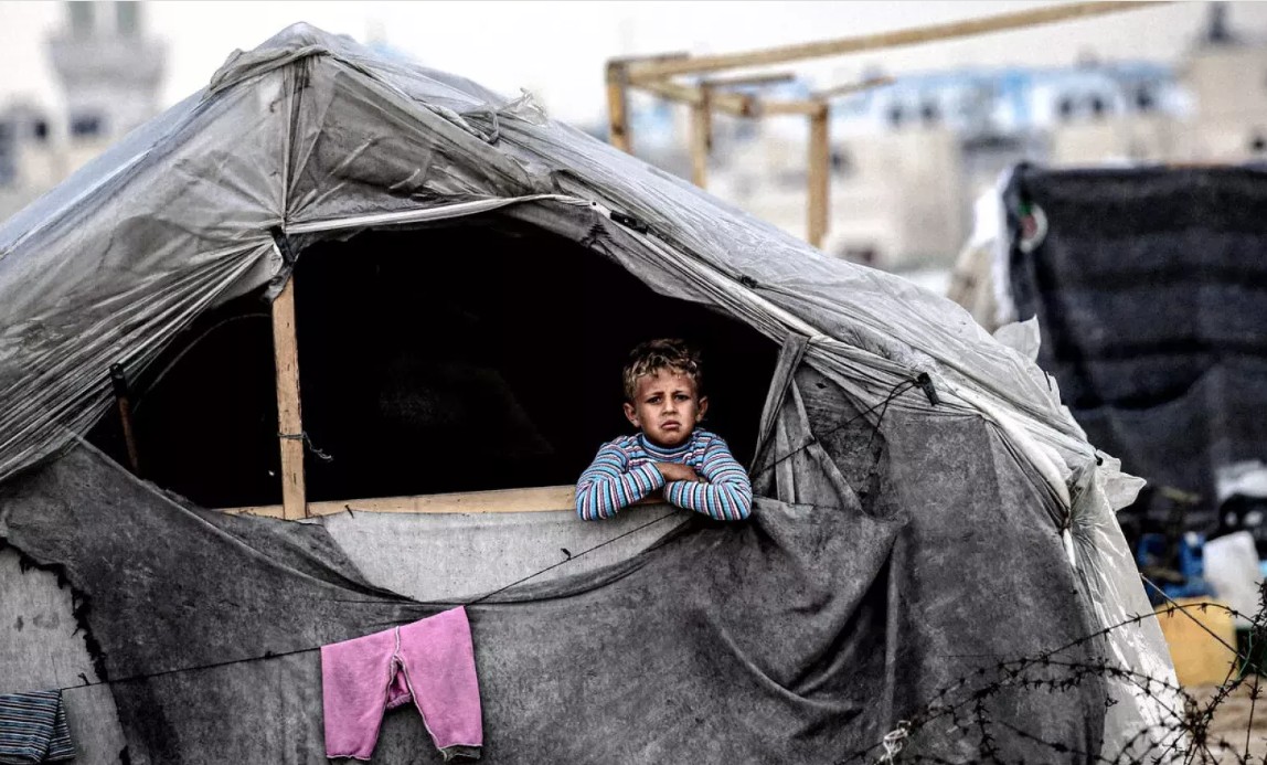 गाजा के टेंटों में चूहों का तांडव: सोते हुए बच्चों को काट रहे चूहे, 20 लाख विस्थापित खतरे में